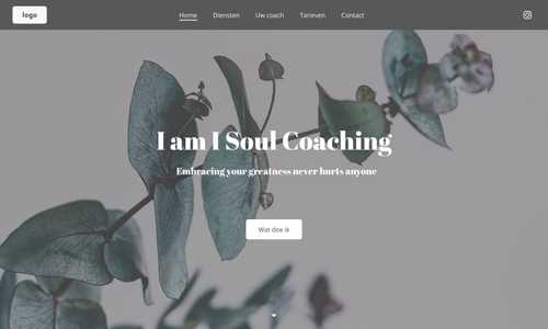 iamisoulcoaching.com